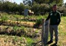 Silvio Melis ci mostra i bancali del laboratorio dell'agricoltura sinergica (foto Feder)