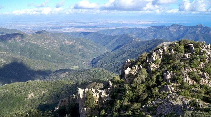Panorama dal Monte Lattias (foresta di Gutturu Mannu / oasi WWF)