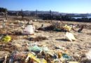 Lo stato disastroso della spiaggia di Giorgino (foto Vistanet)