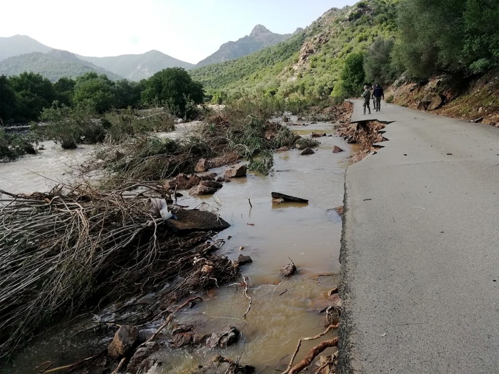 L’oasi WWF di Monte Arcosu tra le montagne di Assemini e Uta