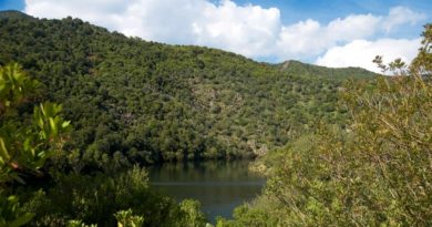 Parco regionale di Gutturu Mannu - foto Sardegna Turismo