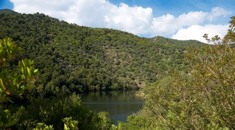 Parco regionale di Gutturu Mannu - foto Sardegna Turismo