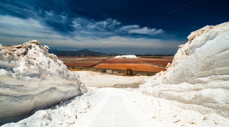 Saline Conti Vecchi, Assemini (CA) - foto Andrea Mariniello 2017 - © FAI - Fondo Ambiente Italiano