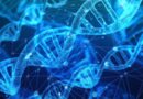 Dalla scienza ancora conferme, il DNA sardo è unico
