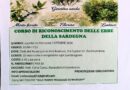 Decimomannu. All’Arci Bauhaus nuovo anno, nuovi corsi sulle Piante della Sardegna!