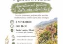 Assemini. Estate Asseminese 2026-Passeggiata esperienziale a Gutturu Mannu- “aperitivo nel sentiero delle erbe selvatiche”